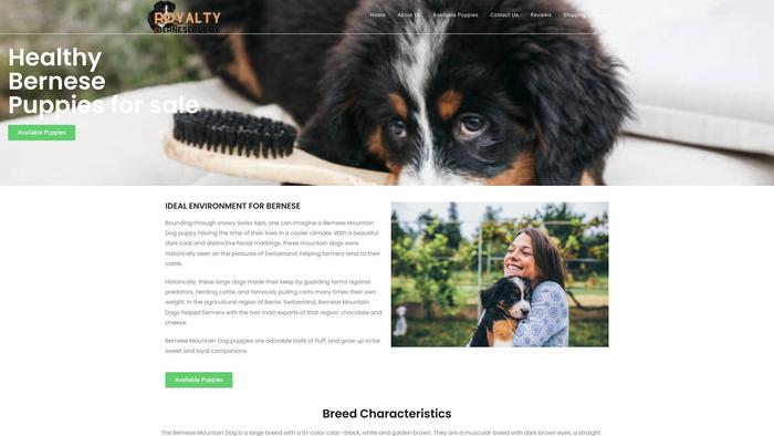 Royaltybernesepuppieshome.com - Bernese Mountain Dog Puppy Scam Review