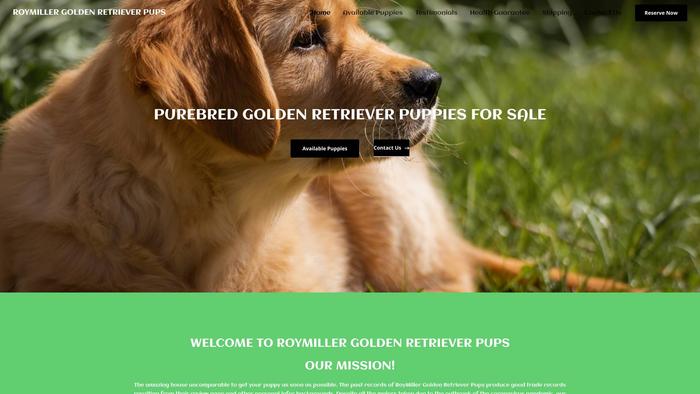 Roymillergoldenretrieverpups.com - Golden Retriever Puppy Scam Review