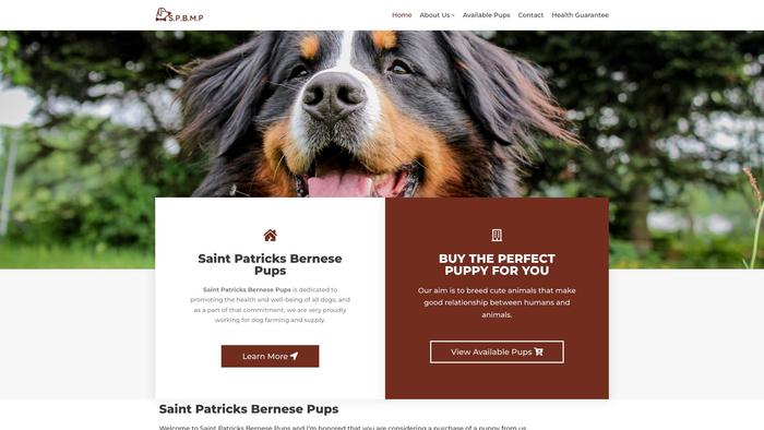 Saintpatricksbernesepups.com - Bernese Mountain Dog Puppy Scam Review