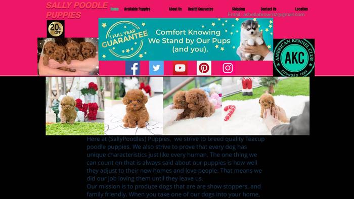 Sallypoodlepuppies.com - Poodle Puppy Scam Review