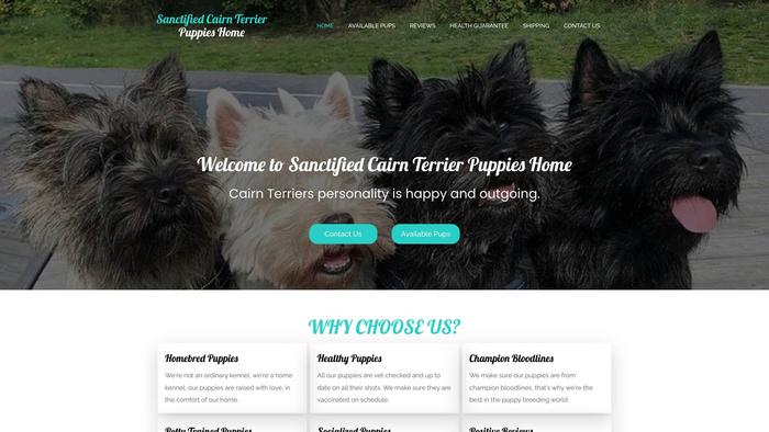 Sanctifiedcairnterrierpuppieshome.com - Terrier Puppy Scam Review