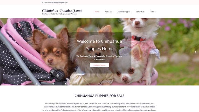 Sandrachihuahuapuppies.com - Chihuahua Puppy Scam Review