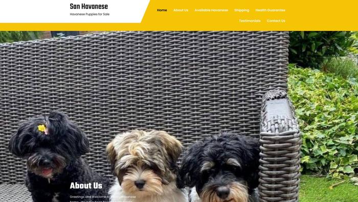 Sanhavanesepuppies.com - Havanese Puppy Scam Review