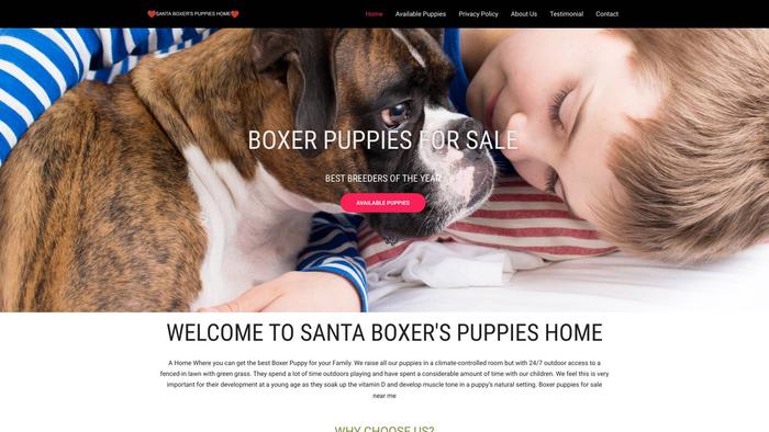 Santaboxershome.com - Boxer Puppy Scam Review