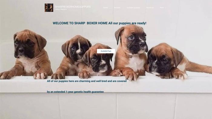 Sharpboxerhomeofpups.com - Boxer Puppy Scam Review