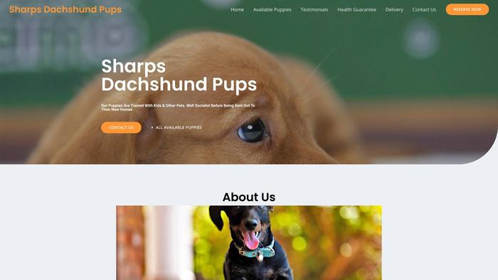 Sharpsdachshundpups.com - Dachshund Puppy Scam Review