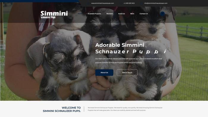 Simminischnauzerpups.com - Schnauzer Puppy Scam Review