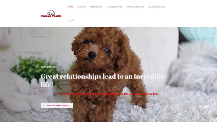 Smarttcuppoodles.com - Poodle Puppy Scam Review