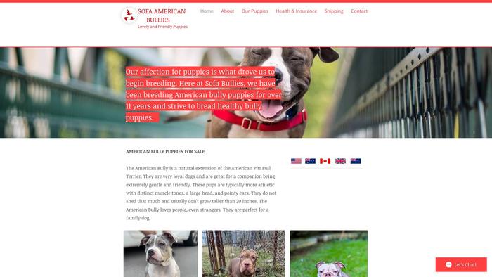 Sofaamericanbullies.com - Bulldog Puppy Scam Review