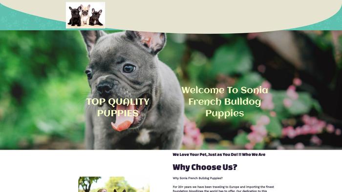 Soniafrenchies.com - French Bulldog Puppy Scam Review