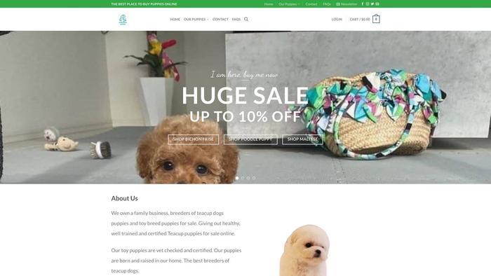 Steveteacupuppies.com - Yorkshire Terrier Puppy Scam Review