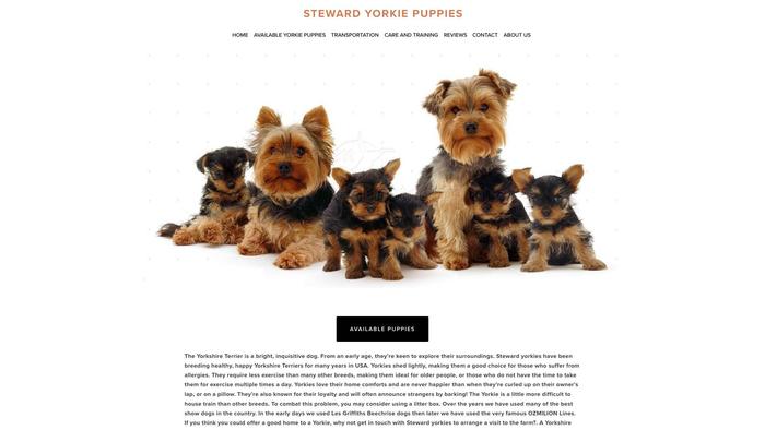 Stewardyorkies.com - Yorkshire Terrier Puppy Scam Review