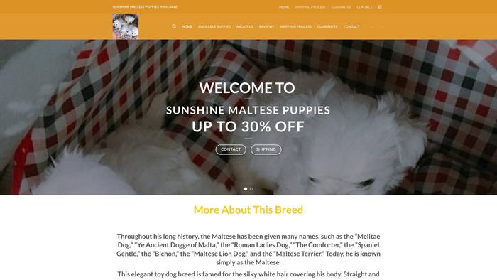 Sunshinemaltesepuppiesavailable.com - Maltese Puppy Scam Review