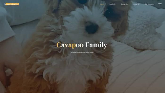 Supercavapoo.com - Cavapoo Puppy Scam Review