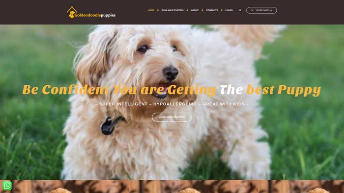 Supergoldendoodlepupies.com - Golden Doodle Puppy Scam Review