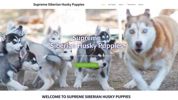 Supremesiberianhuskypuppies.com - Husky Puppy Scam Review