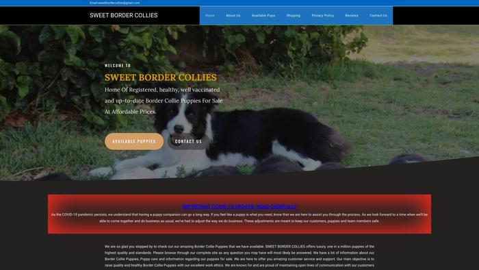 Sweetbordercollies.com - Bordercollie Puppy Scam Review