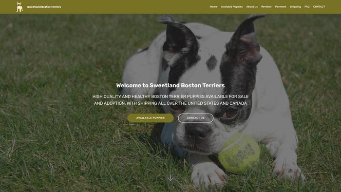 Sweetlandbostonterriers.su - Terrier Puppy Scam Review