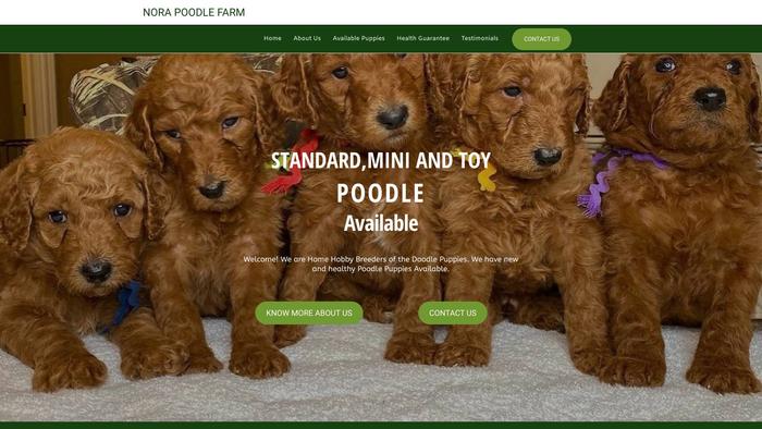 Sweetpoodlefarm.com - Poodle Puppy Scam Review