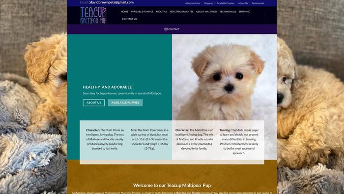 Teacupmaltipoopup.com - Maltipoo Puppy Scam Review