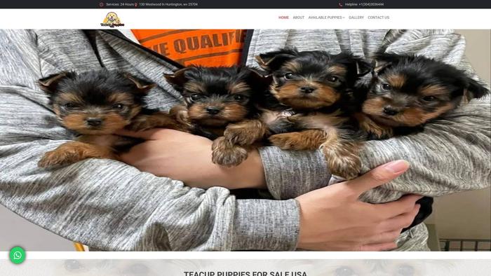 Teacuppuppiesforsaleusa.com - Yorkshire Terrier Puppy Scam Review