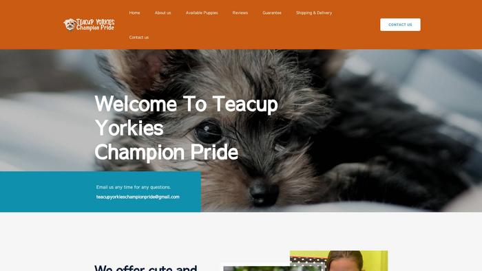 Teacupyorkieschampionpride.com - Yorkshire Terrier Puppy Scam Review