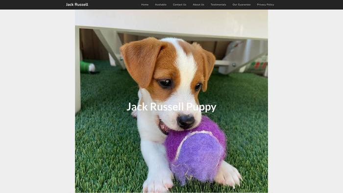 Tejackrusselpup.com - Jack Russell Terrier Puppy Scam Review