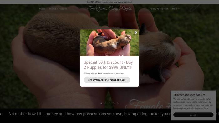 Thequeenscorgipuppies.com - Corgi Puppy Scam Review