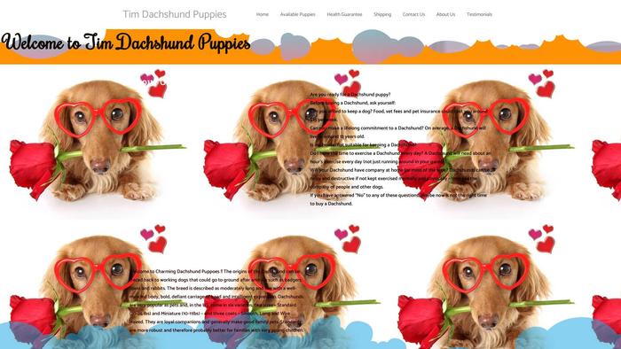 Timdachshundpuppies.com - Dachshund Puppy Scam Review