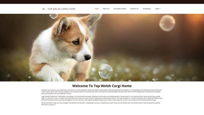 Topcorgihome.com - Corgi Puppy Scam Review