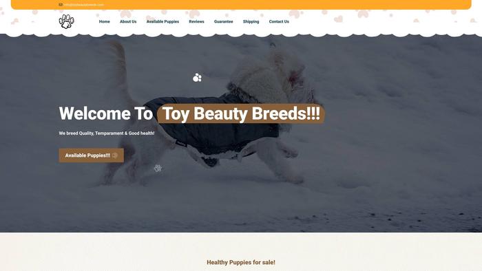 Toybeautybreeds.com - Havanese Puppy Scam Review