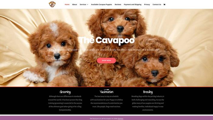 Toycavapoodynasty.com - Cavapoo Puppy Scam Review