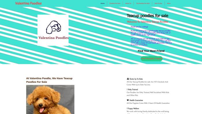 Valentinapoodlepuppies.com - Poodle Puppy Scam Review