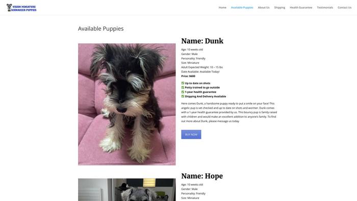 Visionminiatureschnauzerpuppies.com - Schnauzer Puppy Scam Review