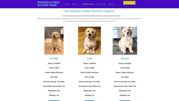 Watsonanemilygoldenretrieverkennel.com - Golden Retriever Puppy Scam Review