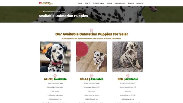 Westlanddalmatianpuppies.com - Labrador Puppy Scam Review