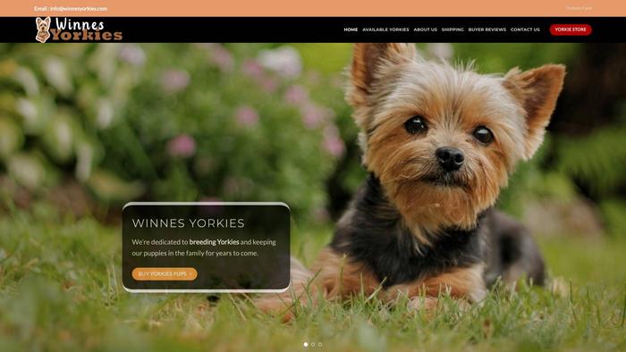 Winnesyorkies.com - Yorkshire Terrier Puppy Scam Review