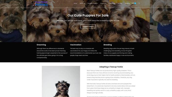 Yvanteacupyorkiepuppies.com - Yorkshire Terrier Puppy Scam Review