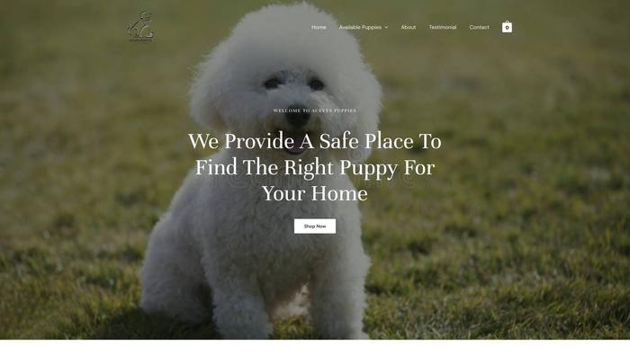 Acevespuppies.com - Bichon Frise Puppy Scam Review