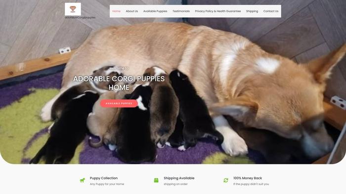 Adorabelcorgipupshome.com - Corgi Puppy Scam Review