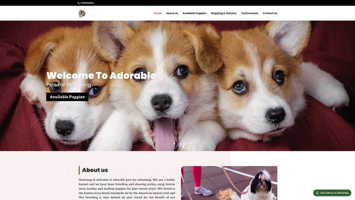 Adorablepetsforrehoming.com - Corgi Puppy Scam Review