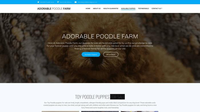 Adorablepoodlefarm.com - Poodle Puppy Scam Review