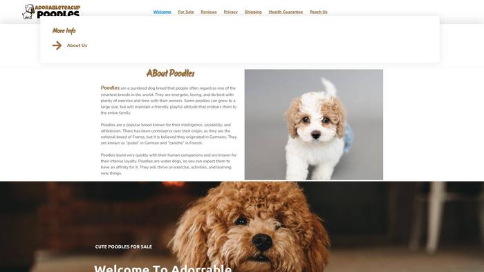 Adorrableteacuppoodles.com - Poodle Puppy Scam Review