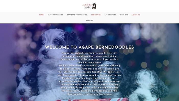 Agapebernedoodles.com - Bernedoodle Puppy Scam Review