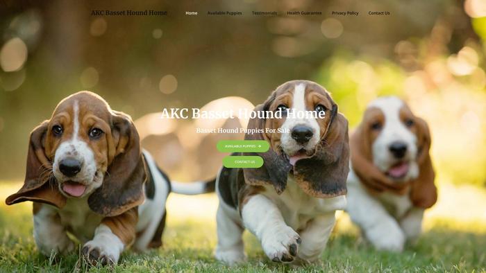 Akcbassethoundhome.com - Bassethound Puppy Scam Review