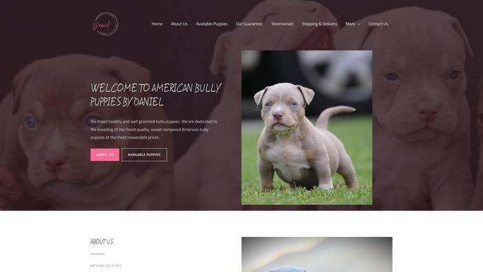 Americanbullypuppiesbydaniel.com - Pit Bull Puppy Scam Review