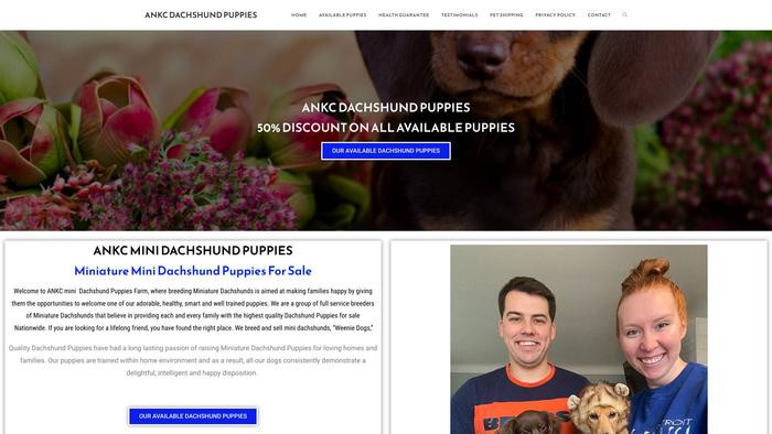 Ankcminidachshundpups.com - Dachshund Puppy Scam Review