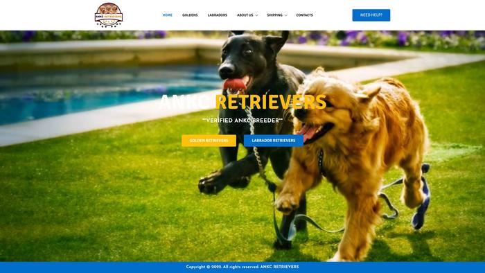 Ankcretrievers.com.au - Golden Retriever Puppy Scam Review