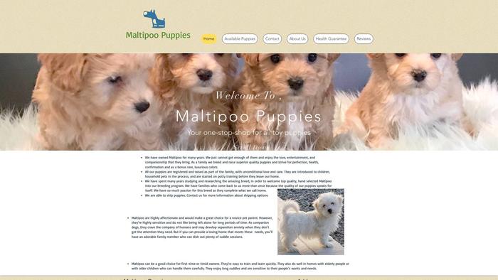 Anthonymaltipoohomes.com - Maltipoo Puppy Scam Review