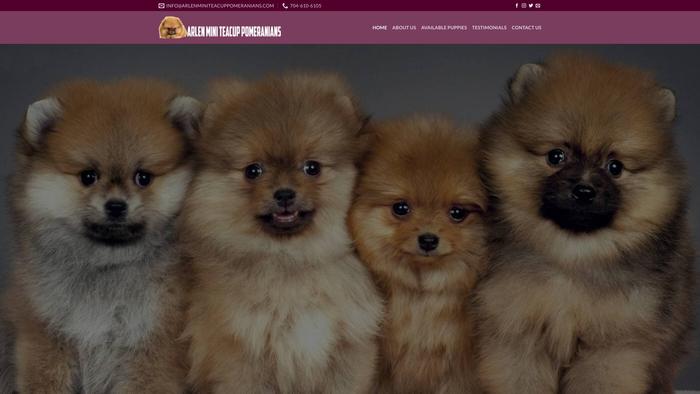 Arlenminiteacuppomeranians.com - Pomeranian Puppy Scam Review